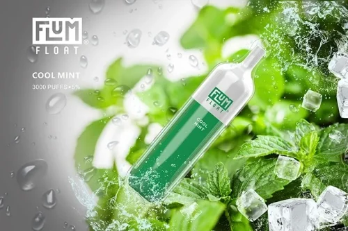 Buy Flum Float Cool Mint, Flum Float, Cool Mint, Disposable Vape, Mint Flavor, Icy Mint, Refreshing Vape, Clean Vape, Portable Vape, Long-Lasting, E-liquid